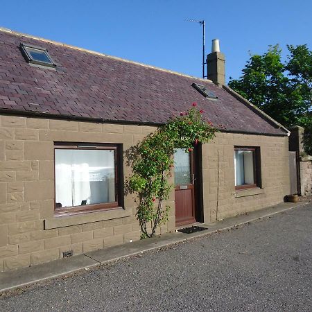 Myrtle Cottage Johnshaven ภายนอก รูปภาพ